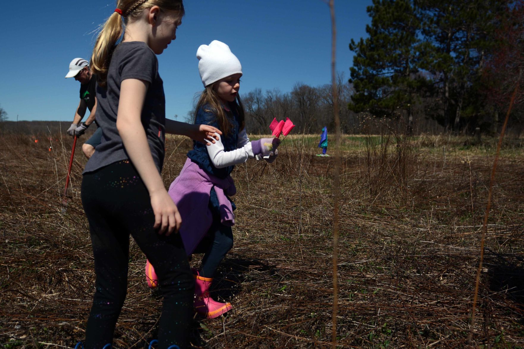 Earth Day tree planting in Baraboo Hills, April 20